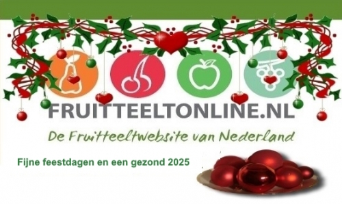 Prettige feestdagen en een gezond 2025!